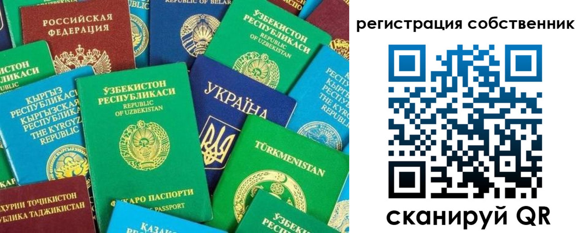 прописка в Пестово